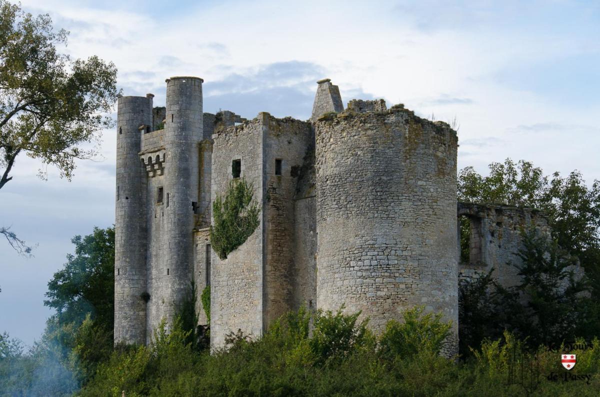 Le Domaine Du Chateau Varennes-les-Narcy Esterno foto