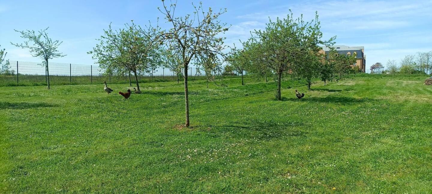 Le Domaine Du Chateau Varennes-les-Narcy Esterno foto